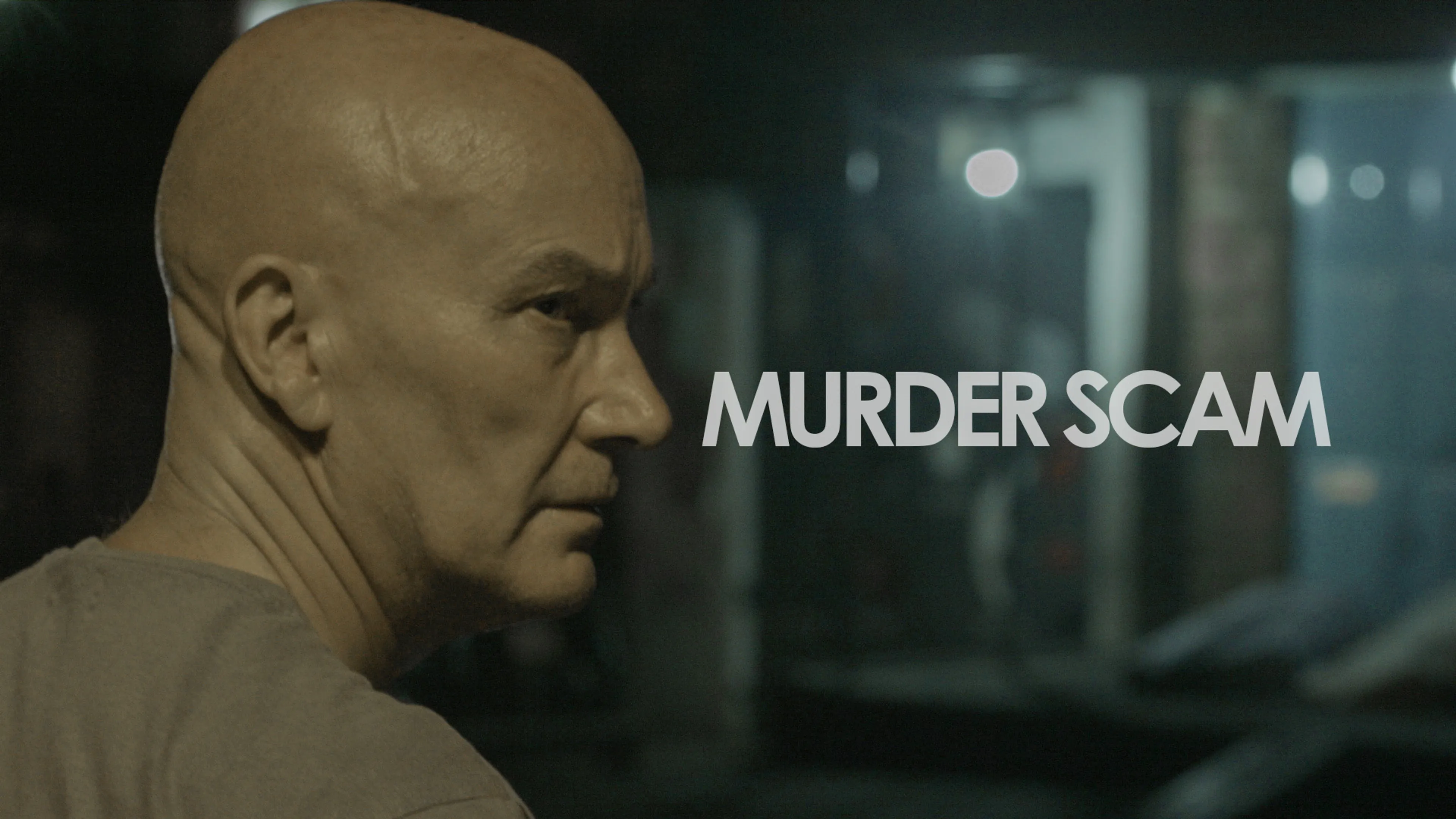 Murder Scam poster